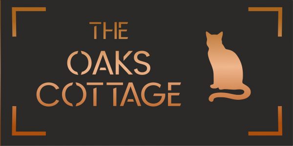 Cat House Sign Laser Cut Personalised, Custom House Names and Numbers 300x150mm, Modern Address Plaque - Image 4
